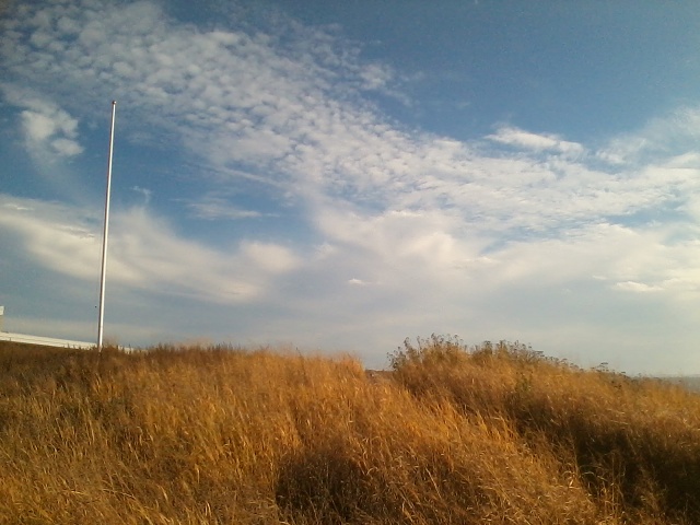 2013-11-02 14.39.55-1