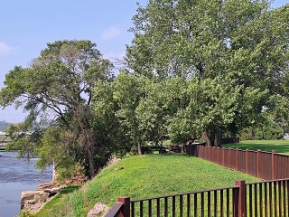 IMG 20250811 161003228 HDR AE (1)